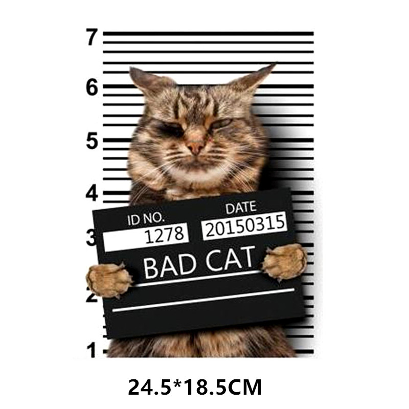 Clothing Patches BAD CAT Pattern Iron On Patches Thermal Transfer Printing DIY Stickers for Clothes Fashion Style Decoration alx