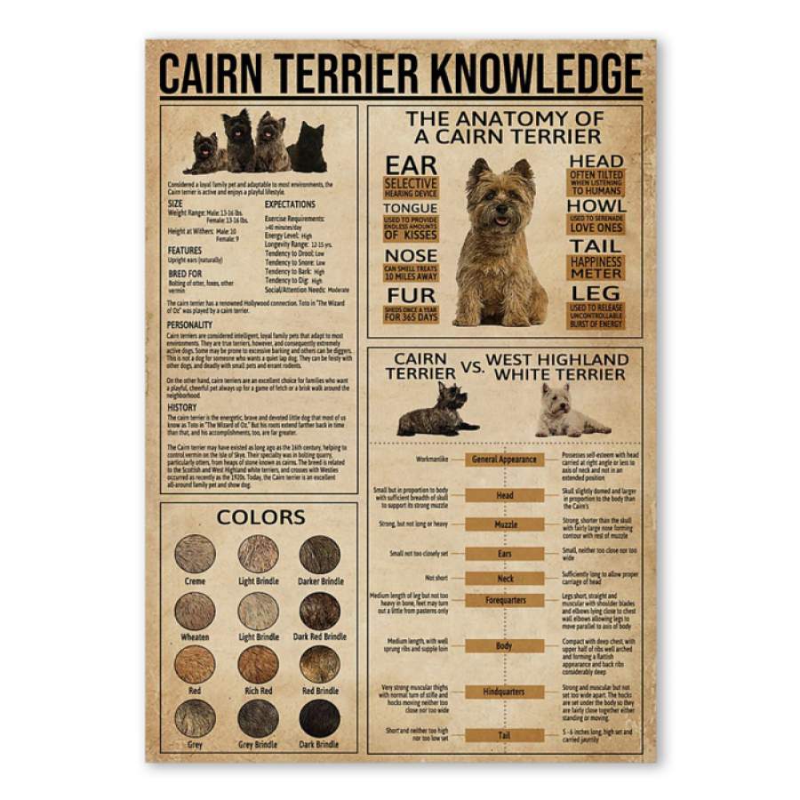 Cairn Terrier Knowledge  Unique Custom Design  Poster  Gift  For Dog Lovers