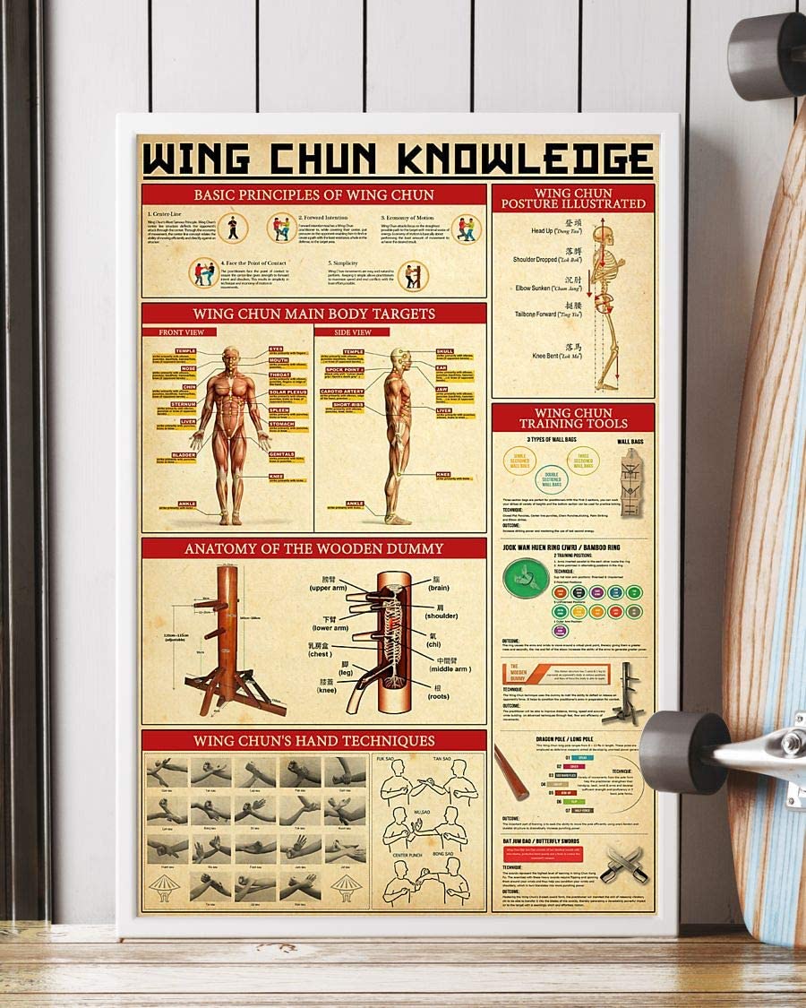 wing chun illustrated pdf download