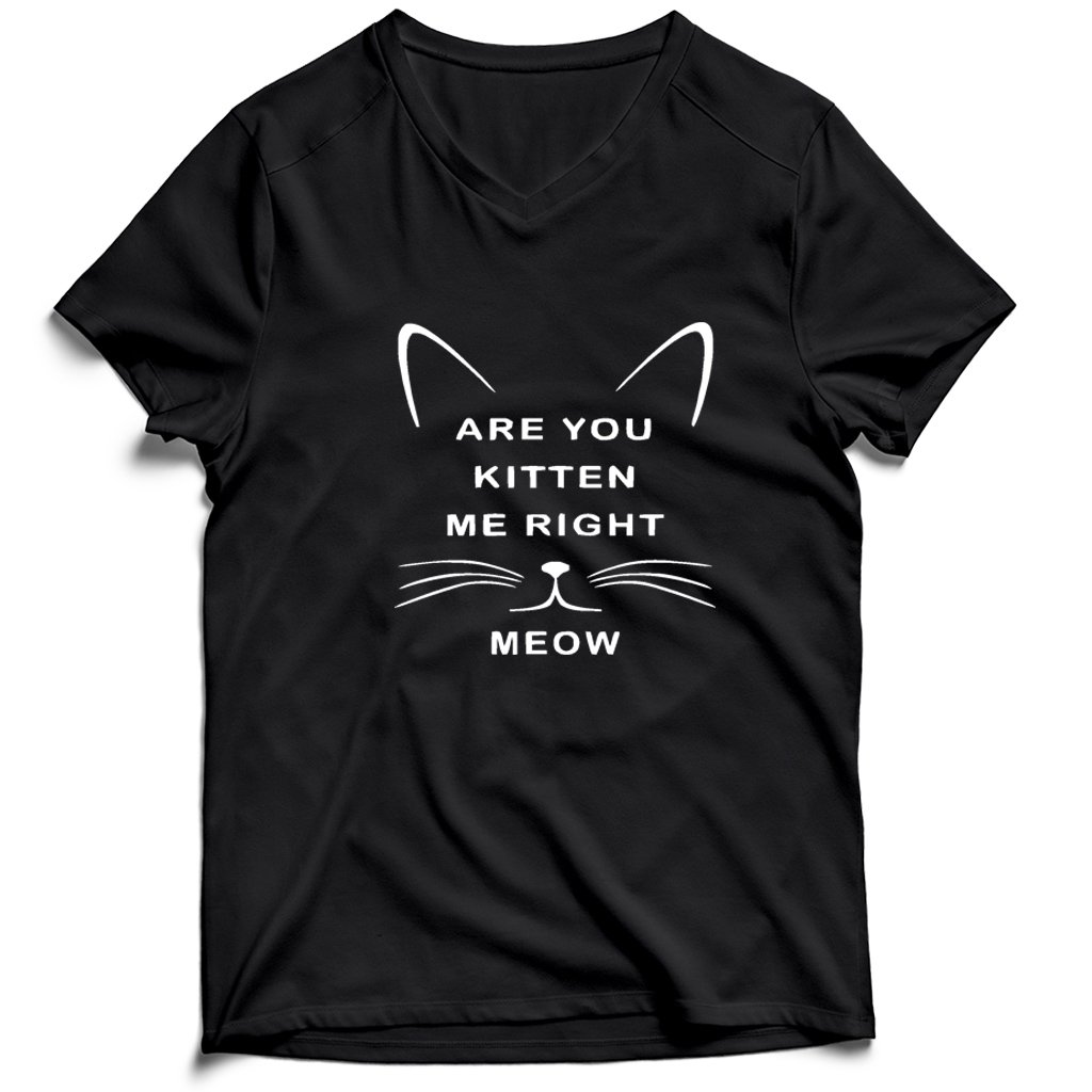 Are You Kitten Me Right Meow Graphic Men’s V-Neck Tee T-Shirt