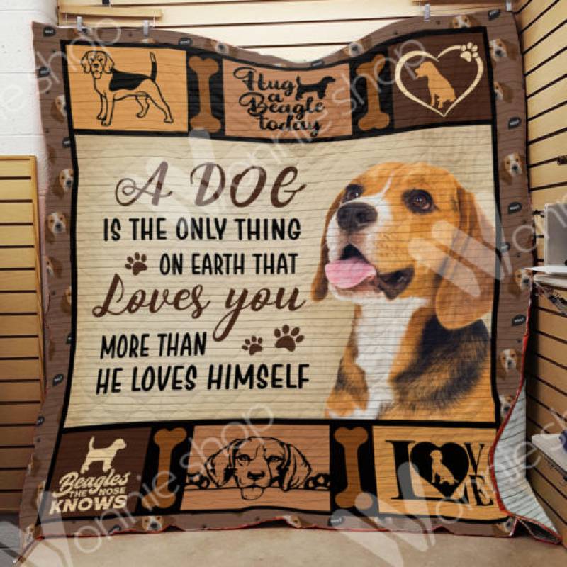 Beagle Dog Blanket DCB0401 70O39