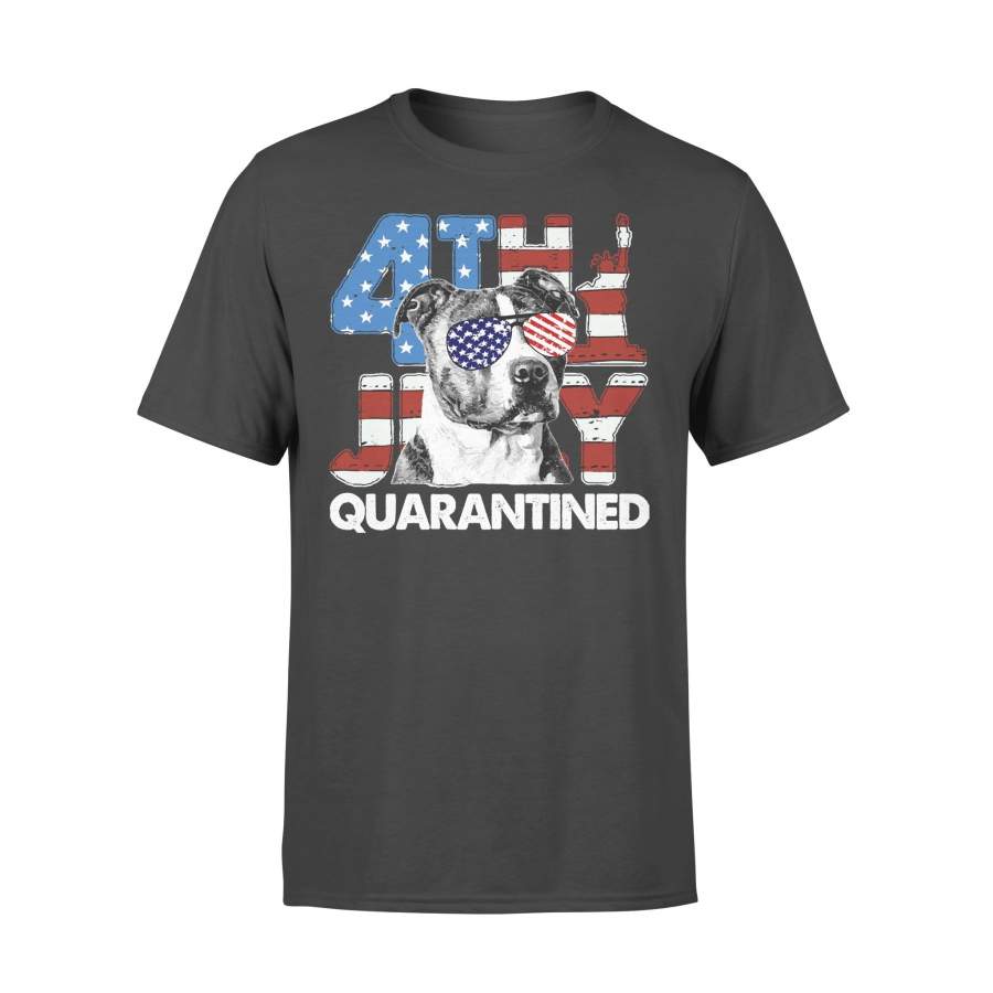 Pitbull 4Th Of July Merica Quarantined Gifts Funny T-shirt