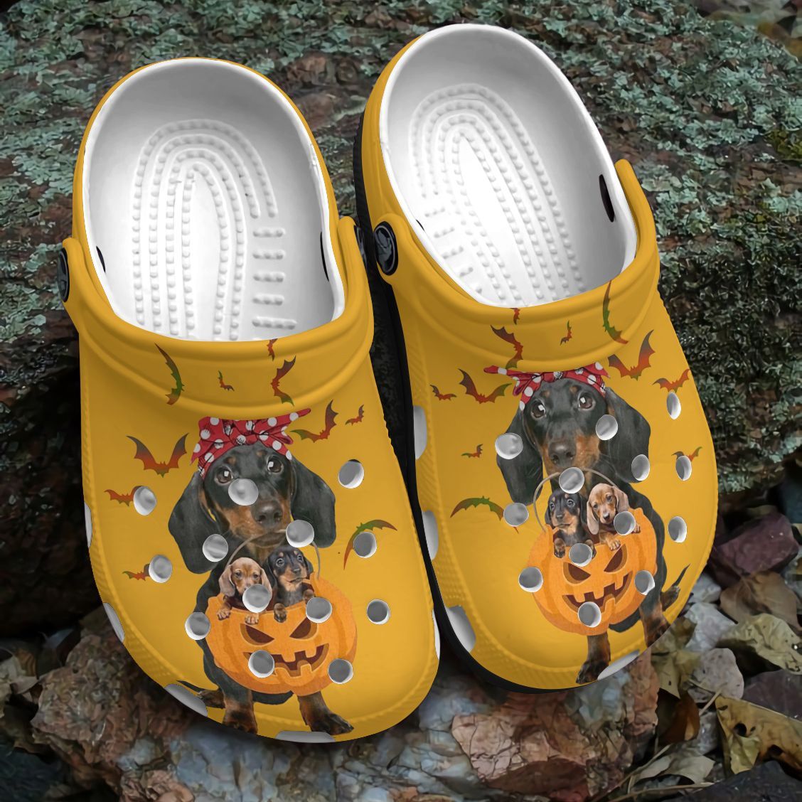 Dachshund Personalized Clog, Custom Name, Text, Color, Number Fashion Style For Women, Men, Kid, Print 3D Halloween Dachshund