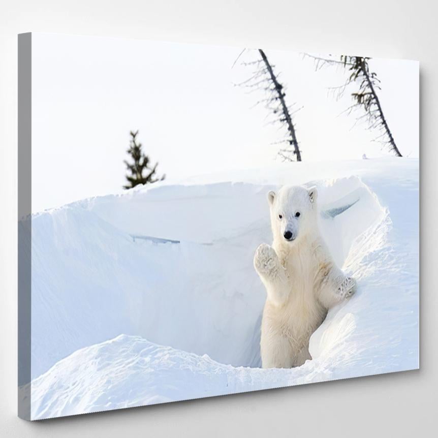 Polar Bear Ursus Maritimus Cub Coming 1 – Bear Animals Canvas Print