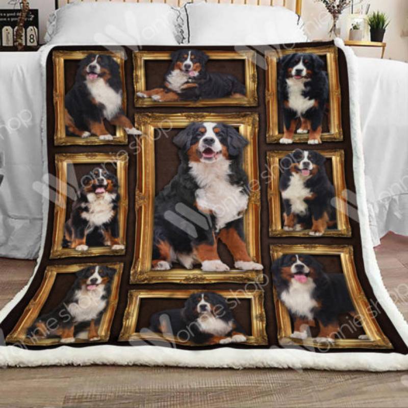 Bernese Mountain Dog Sherpa Blanket JR0801 69O49