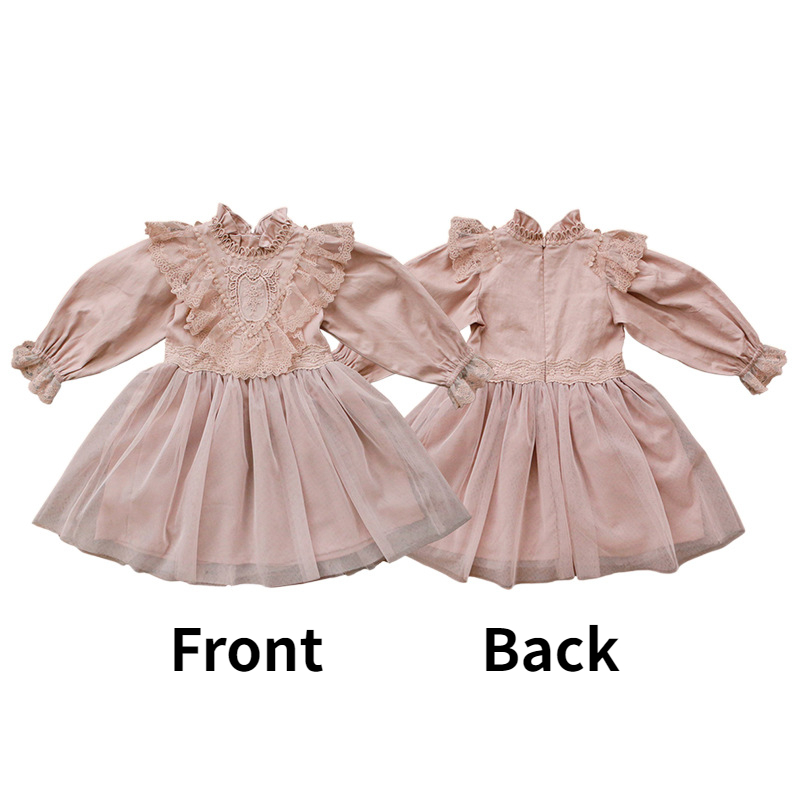 Baby Girl Dresses Spring Autumn Embroidery Flowers Long Sleeve Cute Dress Girls Tulle Princess Dress For Kids Lace Clothes CL852 alx