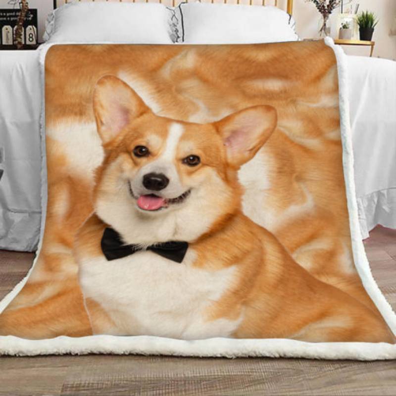 Corgi Dog Sherpa Blanket JR1002 71O43