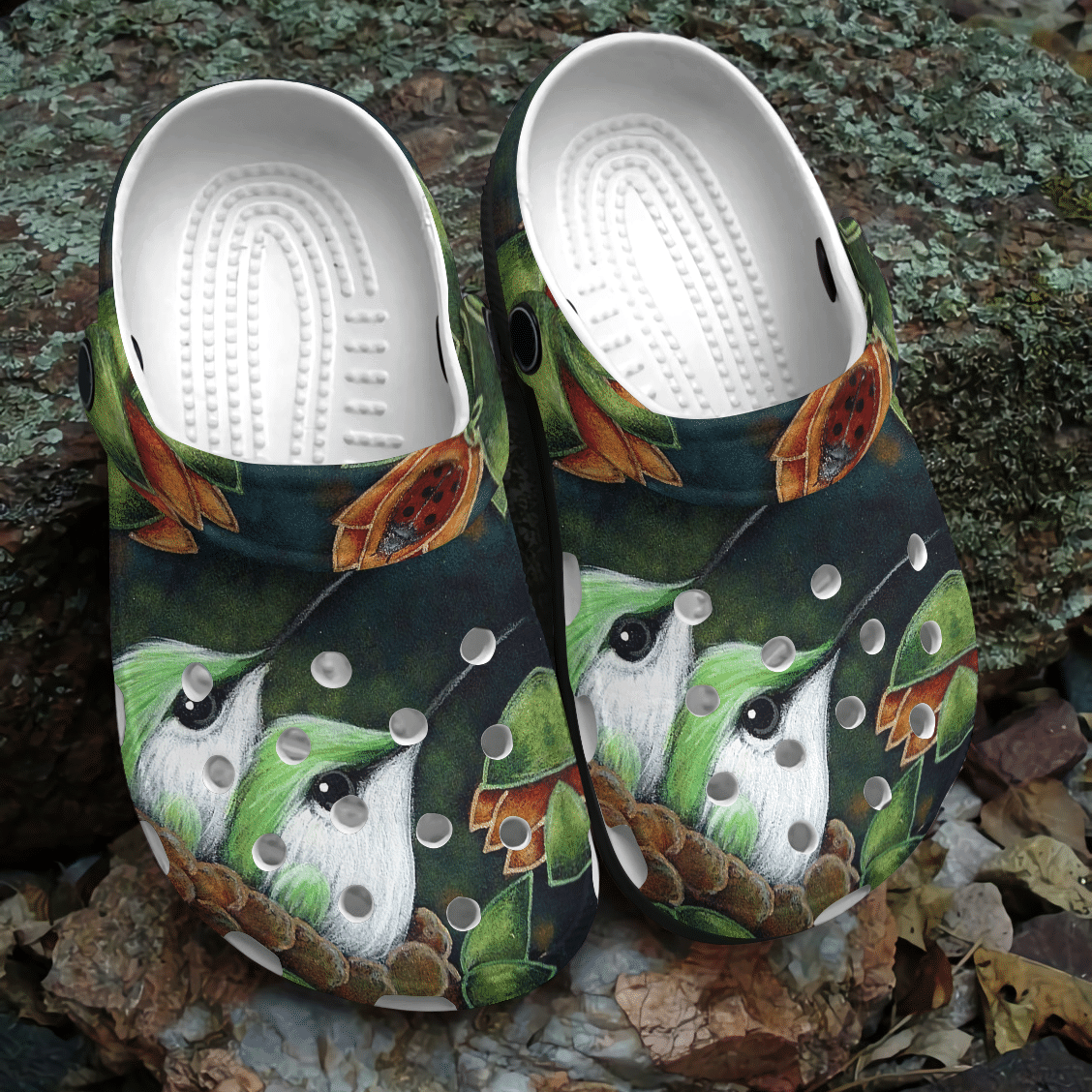 Hummingbird Personalized Clog, Custom Name, Text, Color, Number Fashion Style For Women, Men, Kid, Print 3D Siblings