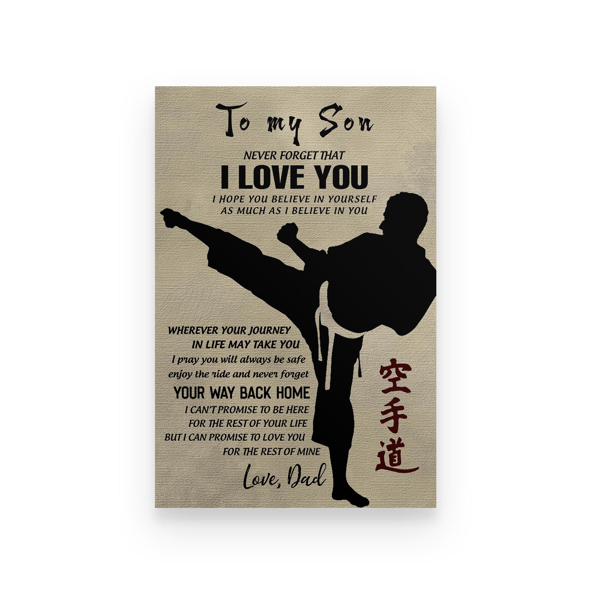 Aikido poster dad to son never forget that i love you