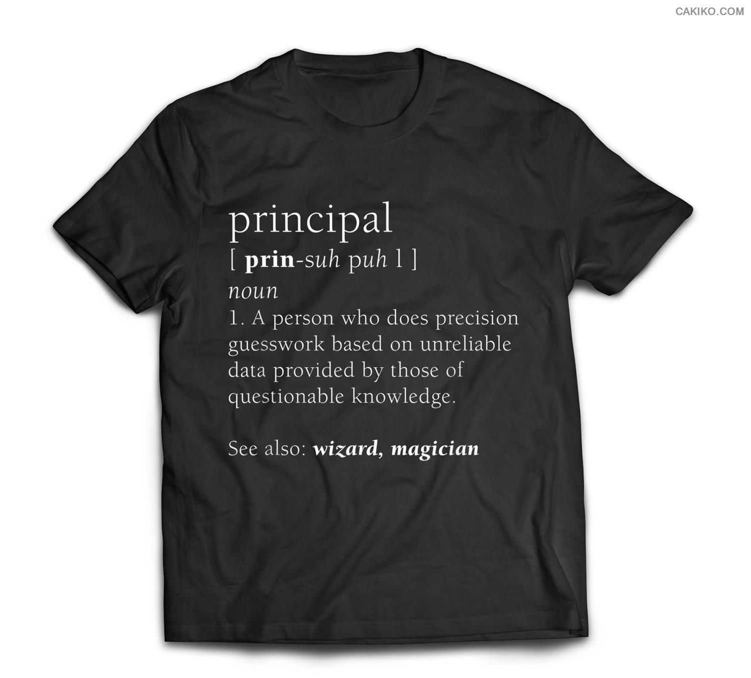 school principal definition