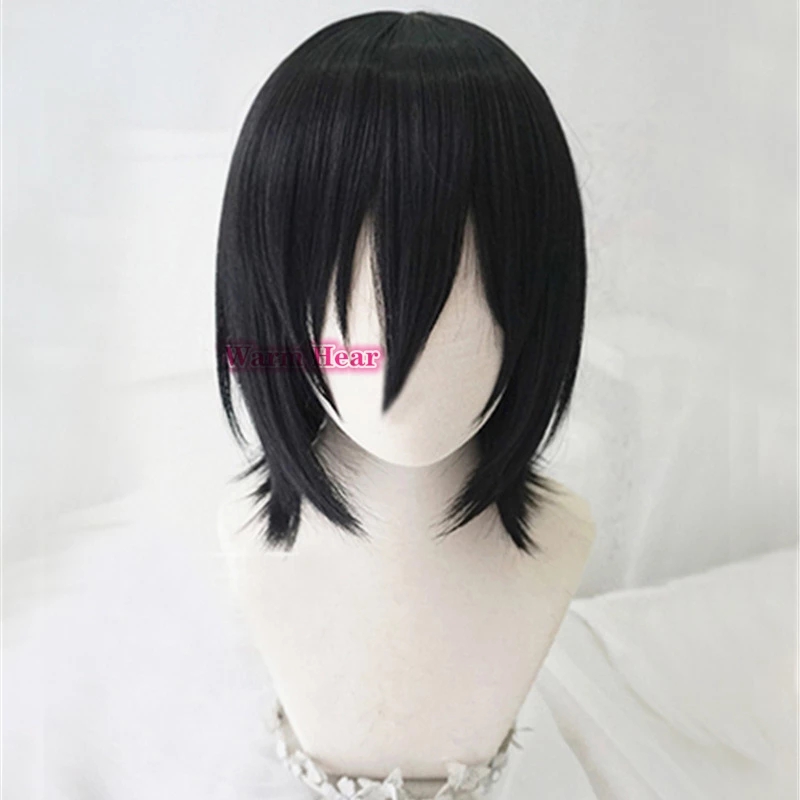 Anime Attack on Titan Mikasa Ackerman Cosplay Wig Black Short Wig Shingeki No Kyojin Synthetic Hair + a wig cap alx