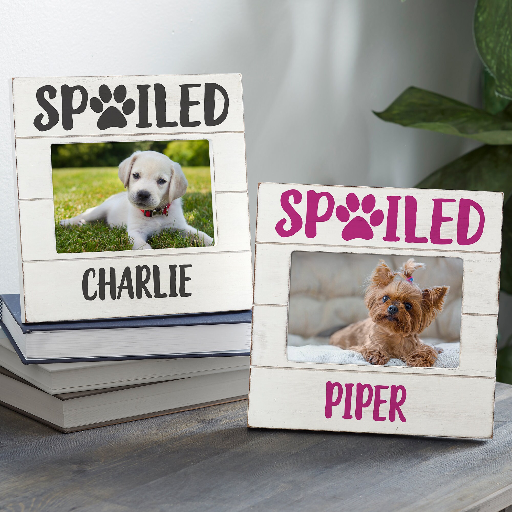 Spoiled Pet Personalized Wood Frame, Pet Gifts, Personalized Frame, Dog Owner Gift, Dog Mom Gift