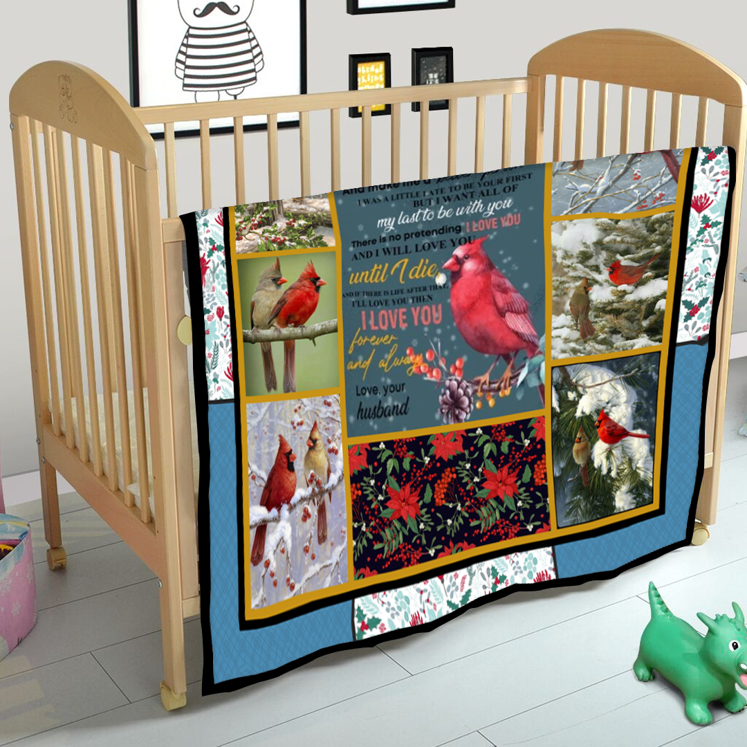 To My Wife The Day I Met You Red Cardinal Bird Husband And Wife Fleece Blanket bf1849