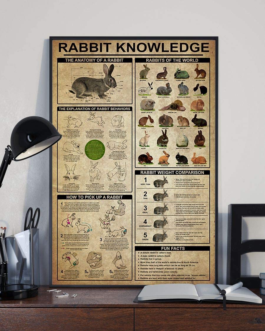 Skitongifts Poster No Frame, Wall Art, Home Decor Rabbit Knowledge The Anatomy Of A Rabbit The Explanation Of Rabbit Behaviors 1208