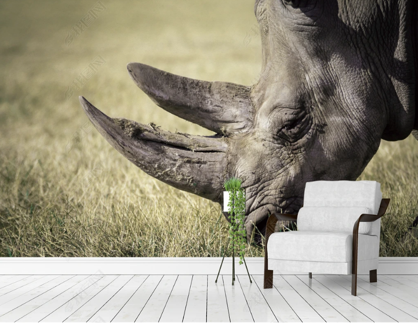 3D Africa Animal Rhinoceros Photo Wall Mural Wallpaper Sww3254