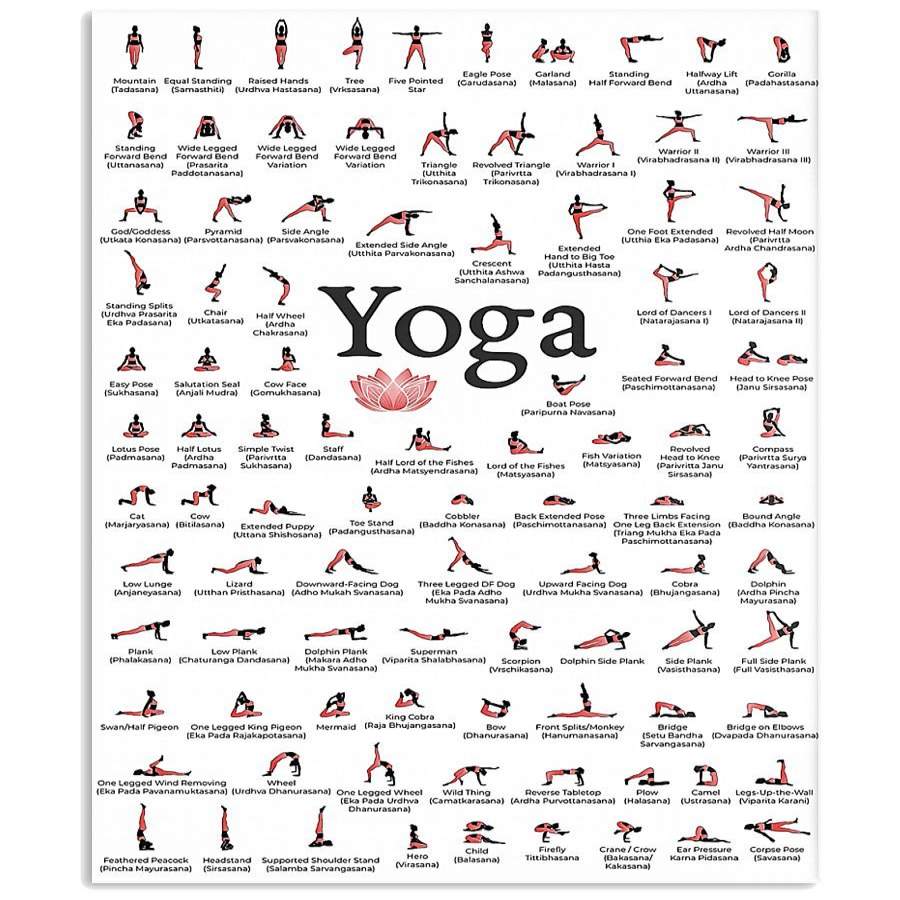 Yoga Positions  Knowledge Special Unique Custom Design Vertical Poster