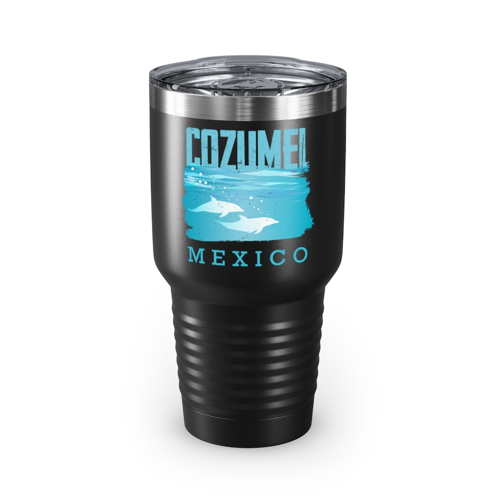 30Oz Tumbler Stainless Steel Colors Inspirational Mexico Dolphin Cozumel Vacations Men Women  Motivational Mexican