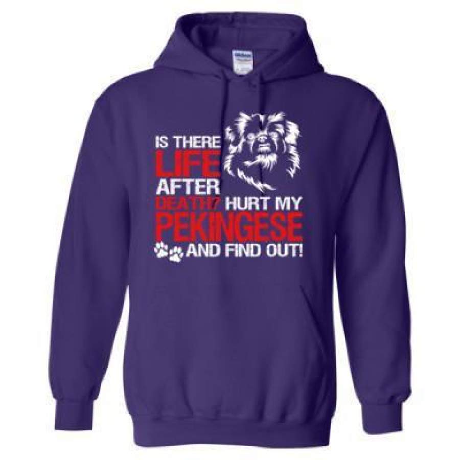 AGR Is There Life After Death Hurt My Pekingese And Find Out – Heavy Blend™ Hooded Sweatshirt