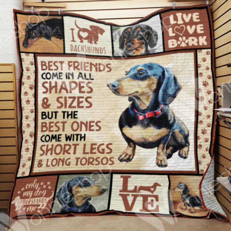 Dachshund Dog Blanket DCB1701 71O31