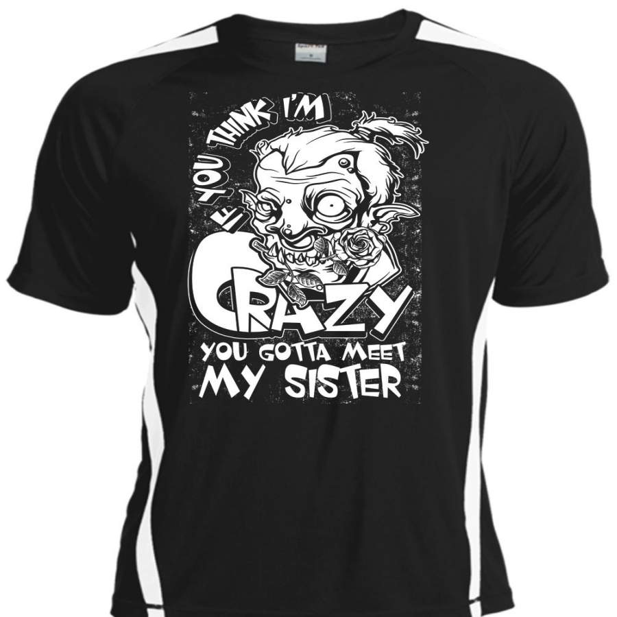 You Gotta Meet My Sister T Shirt, Being A Sister T Shirt, Cool Shirt