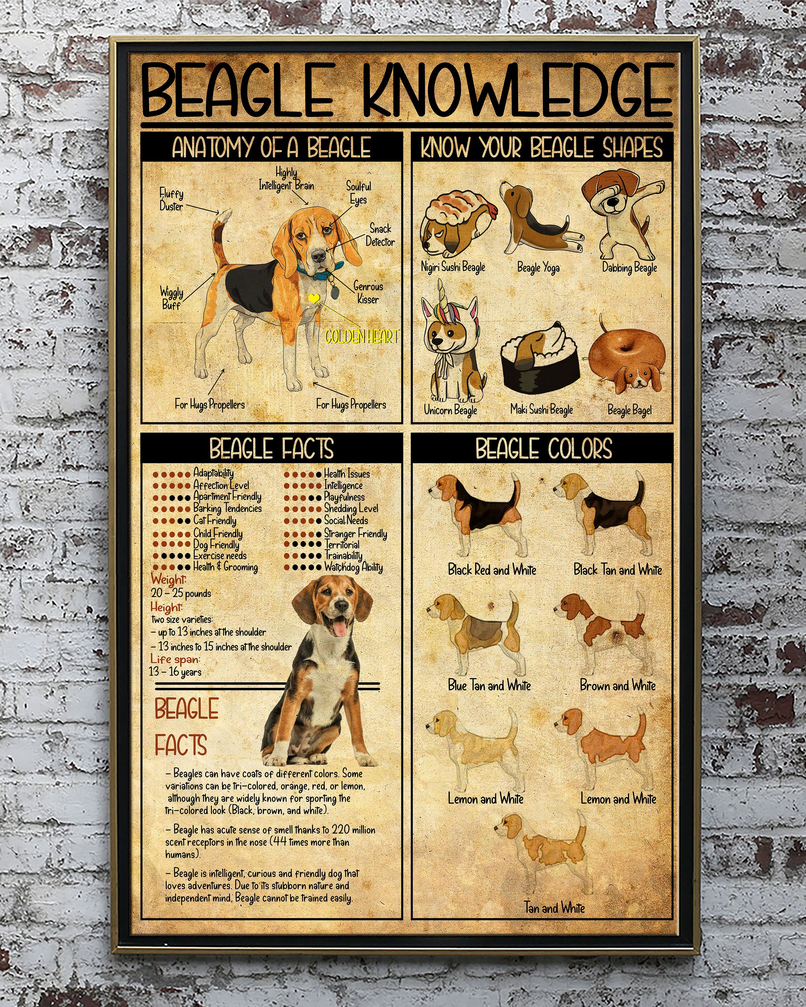 Beagle Knowledge Vertical  Paper Poster No Frame Matte Canvas Wall Decor