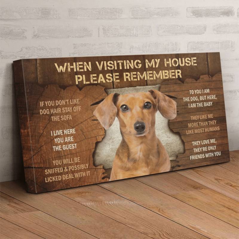 Dachshund Visiting Poster Canvas 312320954