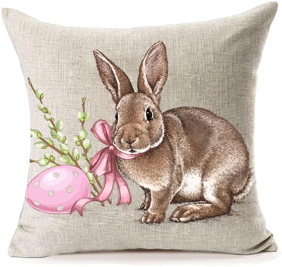 Mfgneh Easter Decorations Pillow Covers, Spring Decor Bunny Easter Eggs Throw Cushion Cover, Easter Gifts