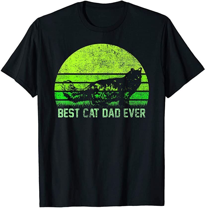 Vintage Retro Best Maine Coon Cat Dad Ever Silhouette Sunset T-Shirt