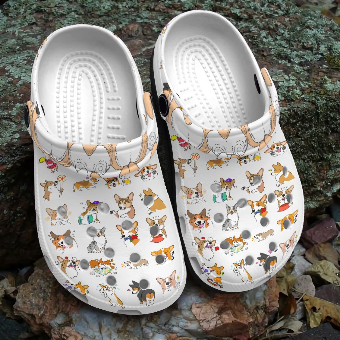 Corgi Personalized Clog, Custom Name, Text, Color, Number Fashion Style For Women, Men, Kid, Print 3D Funny Corgi Compilation