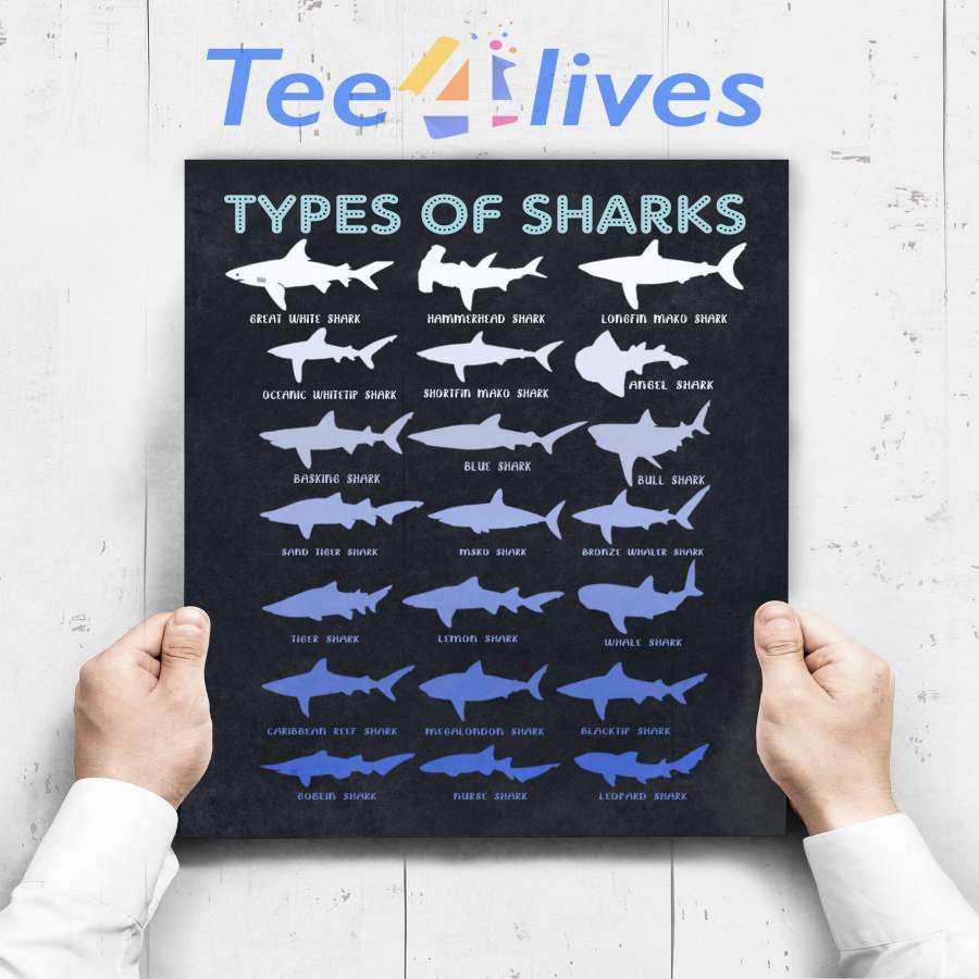 Custom Poster Prints Wall Art 21 Types Of Sharks Marine Biology