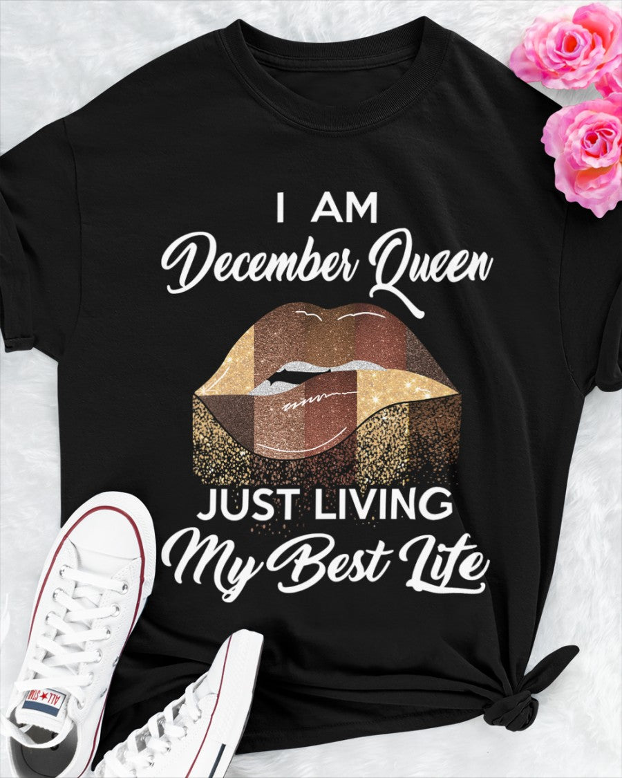 December Queen Just Living My Best Life Black Queen Birthday Gift Standard/Premium T-Shirt Hoodie