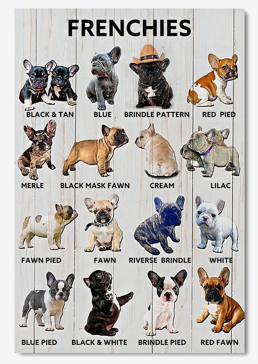 Types Of French Bulldog Animal Knowledge For Homeschool Nusery Kids ...