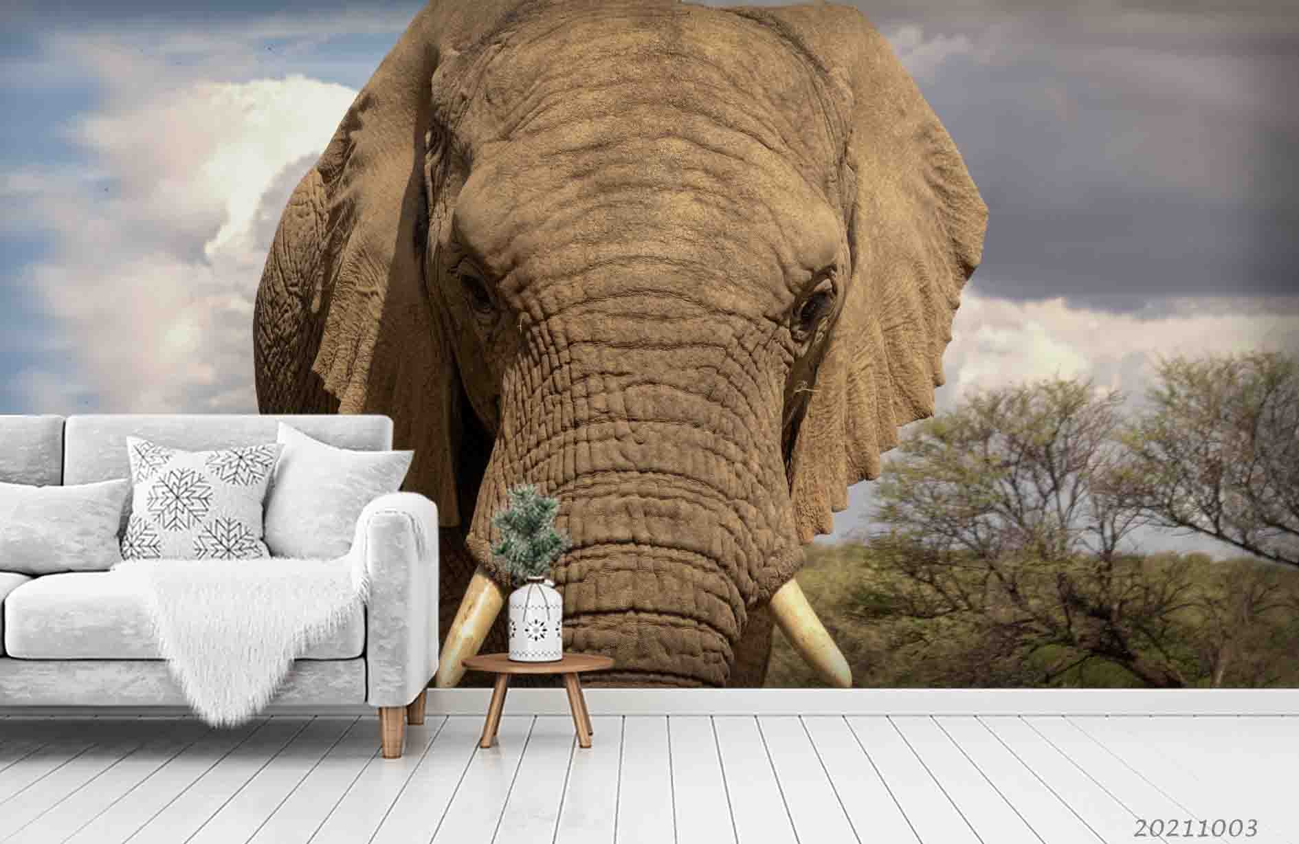 3D Sky Cloud Wild Animal Elephant Wall Mural Wallpaper Lqh 374