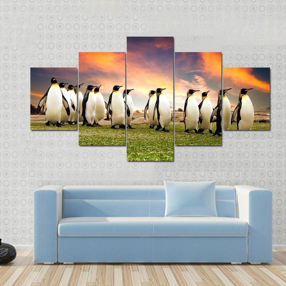 King Penguins In The Falkland Islands Animal 5 Panel Canvas Art Wall Decor