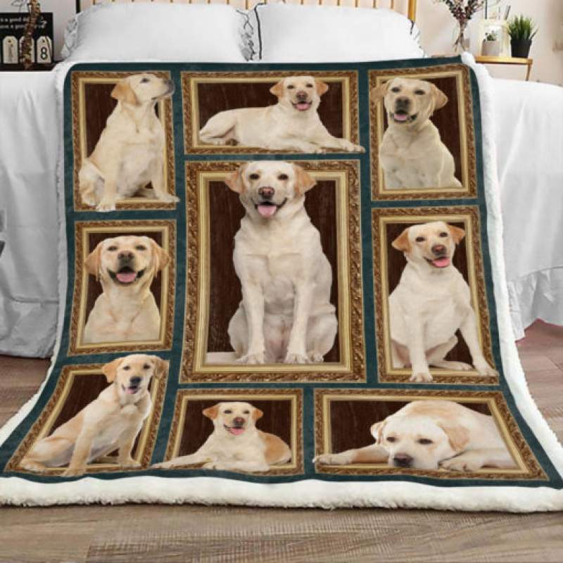 Labrador Retriever Dog Sherpa Blanket JR3001 70O51