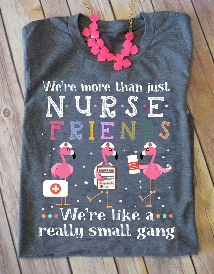 Flamingo We’re More Than Just Nurse Friends We’re Like A Really Small Gang Standard T-Shirt