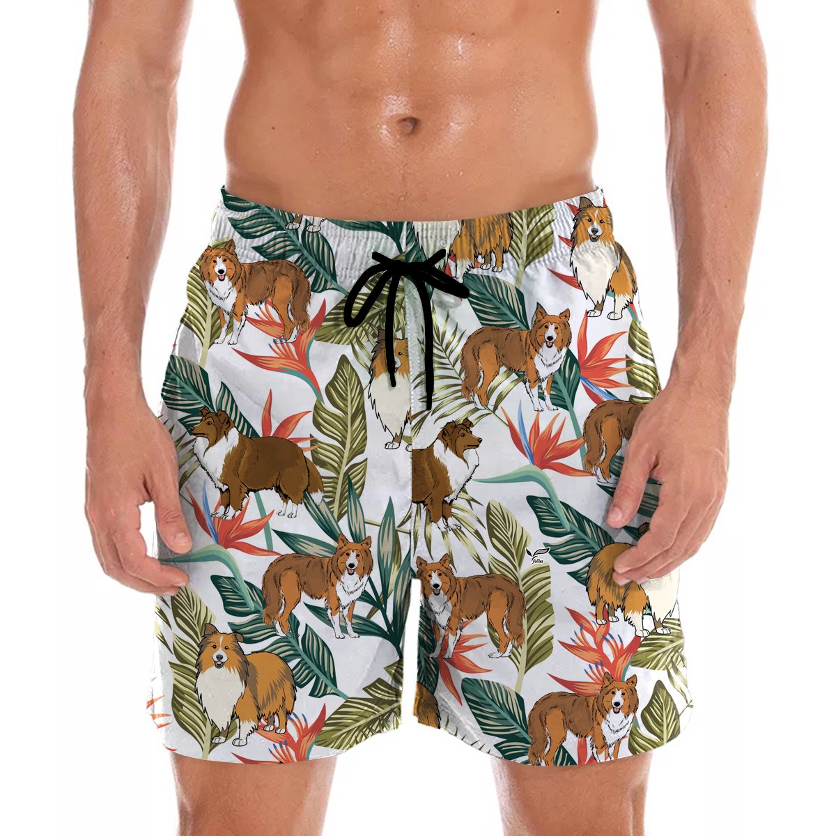 Rough Collie Hawaii Shorts Ha5860