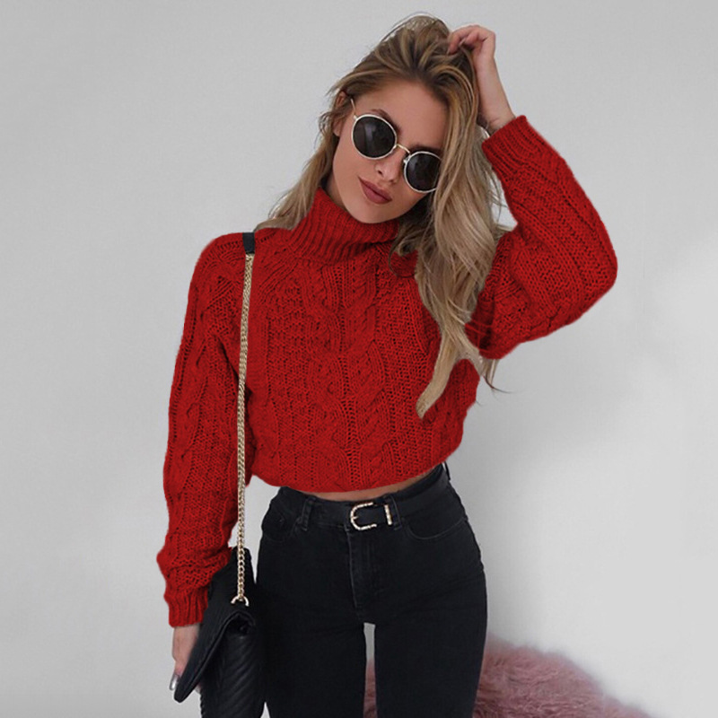 Turtleneck Sweater Twist Crop Knitted Oversized Sweater Women Pullovers Winter Jumper Knitwear Pull Femme solid Casual sweater alx