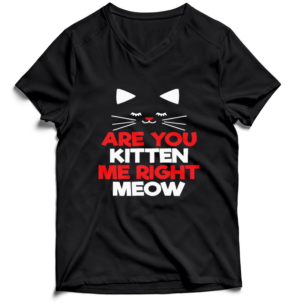 Are You Kitten Me Right Meow Lovers Men’s V-Neck Tee T-Shirt