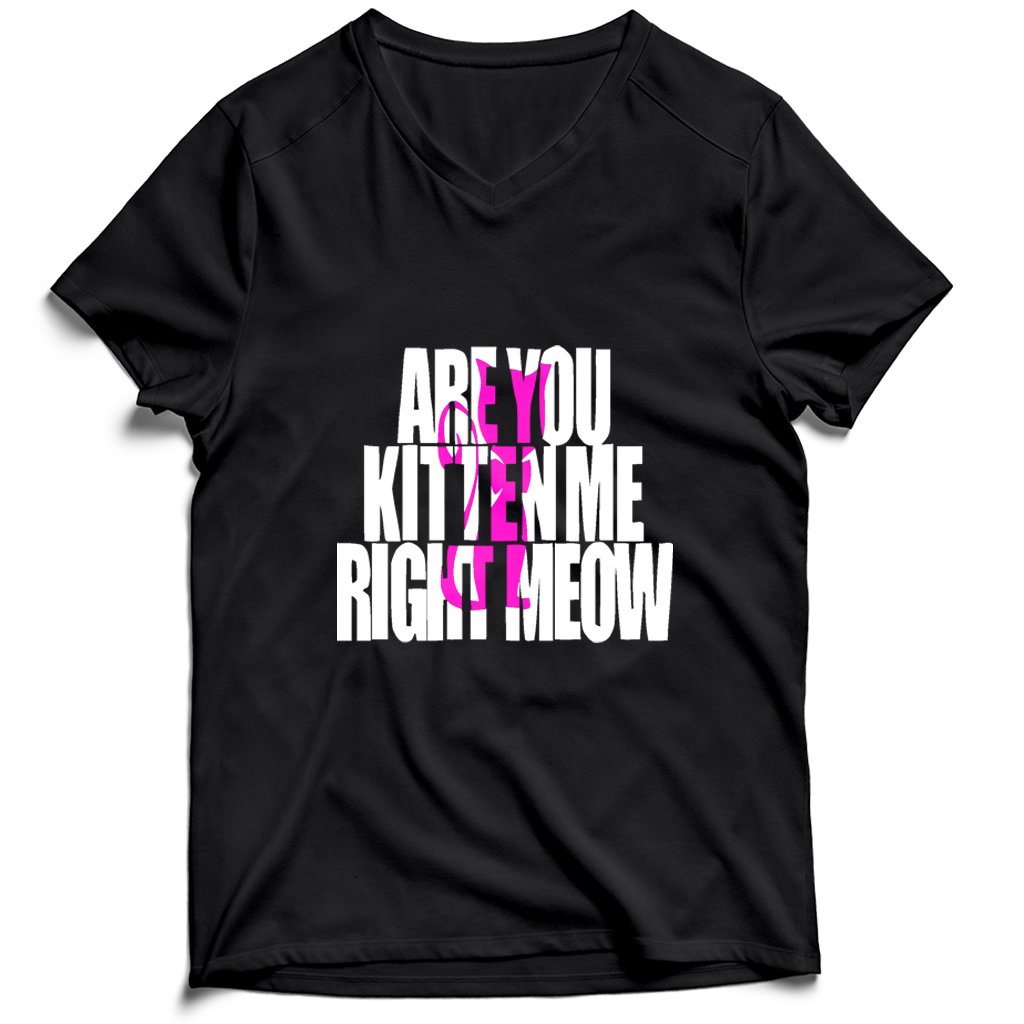 Are You Kitten Me Right Meow One Men’s V-Neck Tee T-Shirt