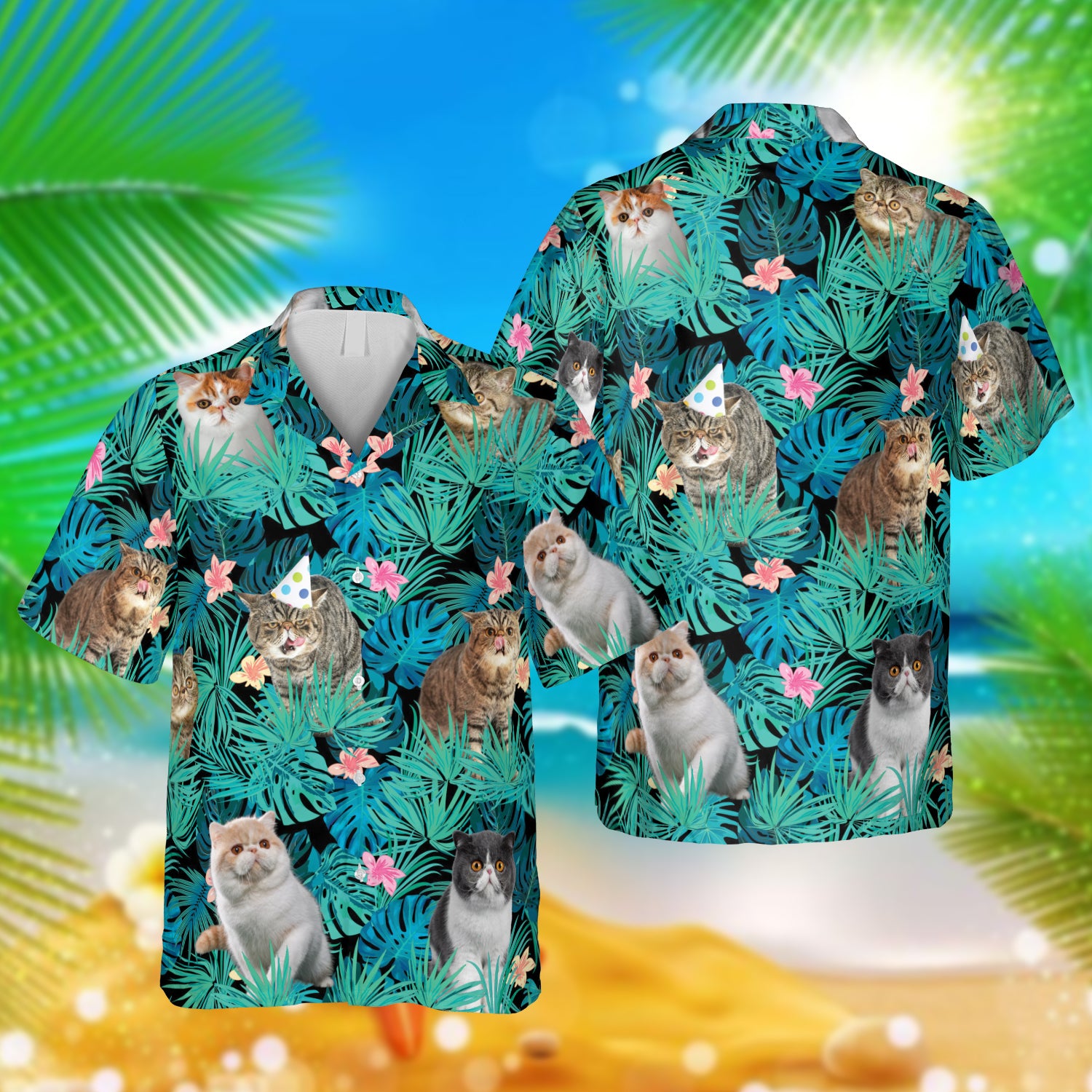 Exotic Kitten Tropical Hawaii Tabby Ha56394