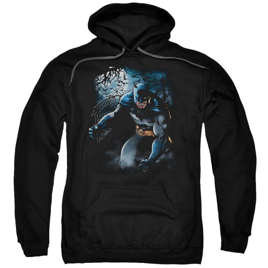 Batman – Light Of The Moon Adult Pull Over Hoodie