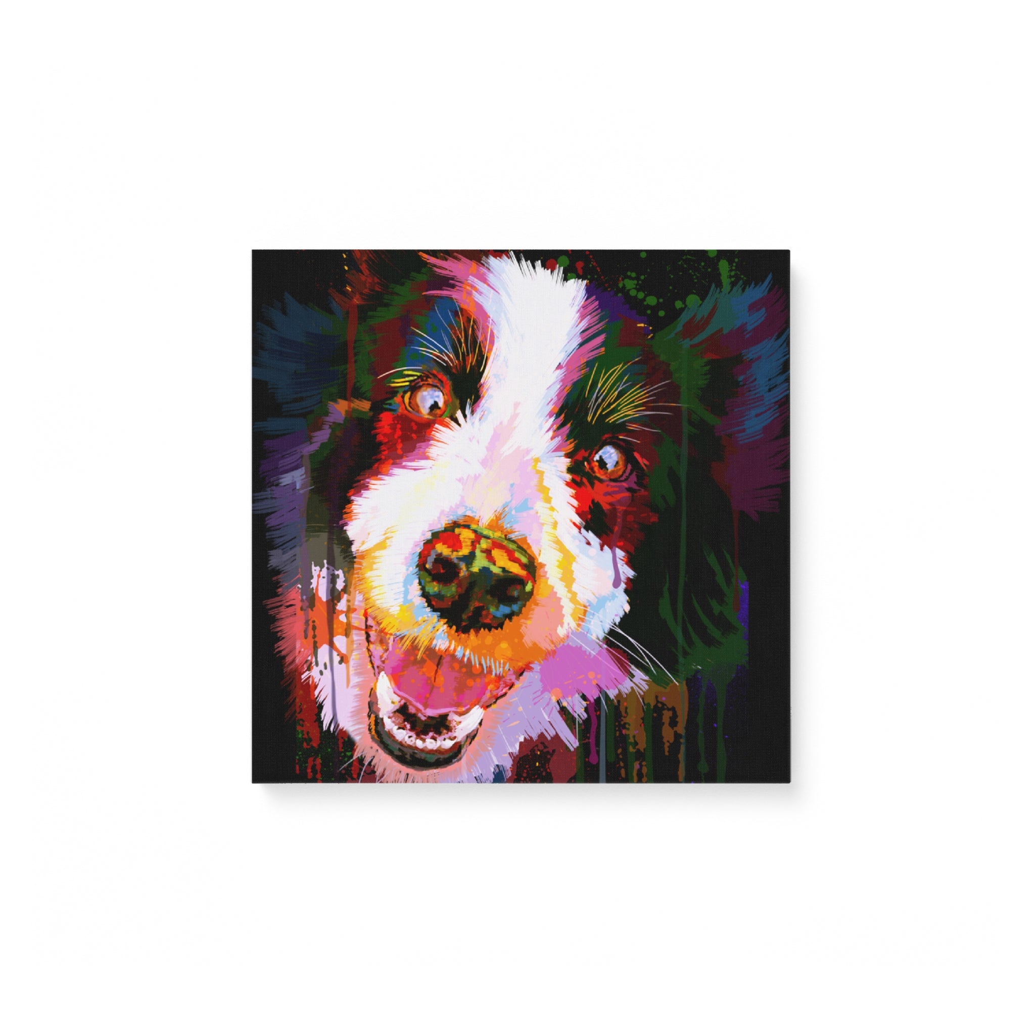 Border Collie Water Color – Matte Canvas