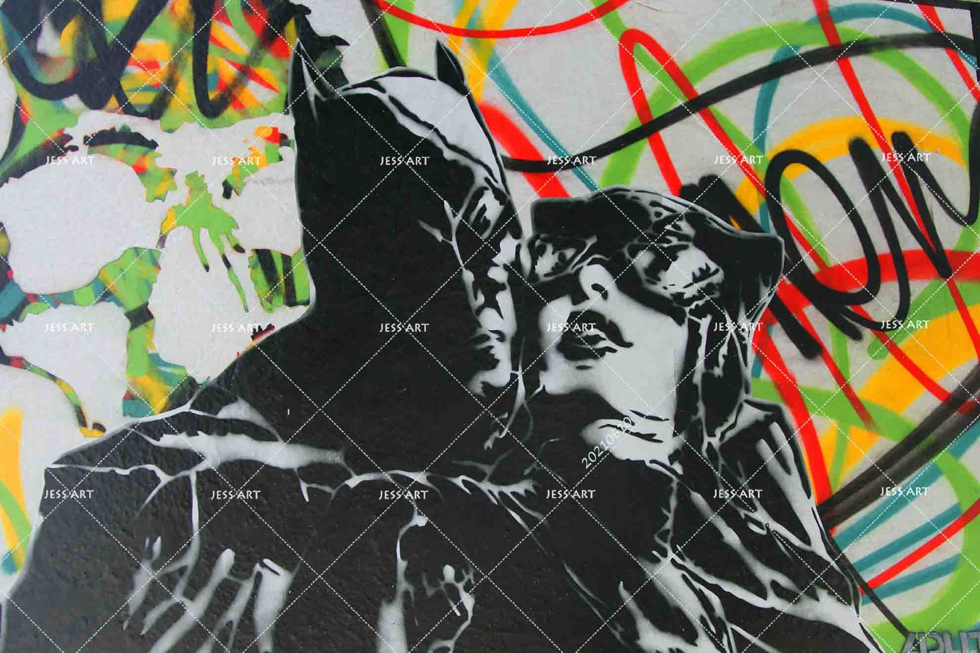 3D  Hand-Painted Graffiti Batman Catwoman Wall Mural Wallpaper Sww1867