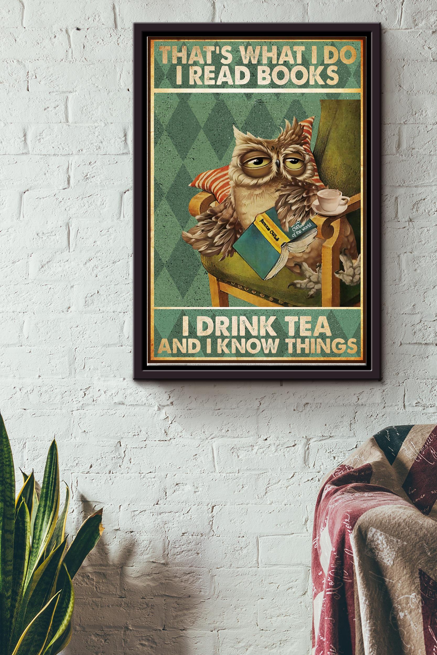 That’S What I Do I Read Books Poster – Animal Wall Art – Gift For Book Lover, Cafe Decor, Owl Lover Framed Matte Canvas