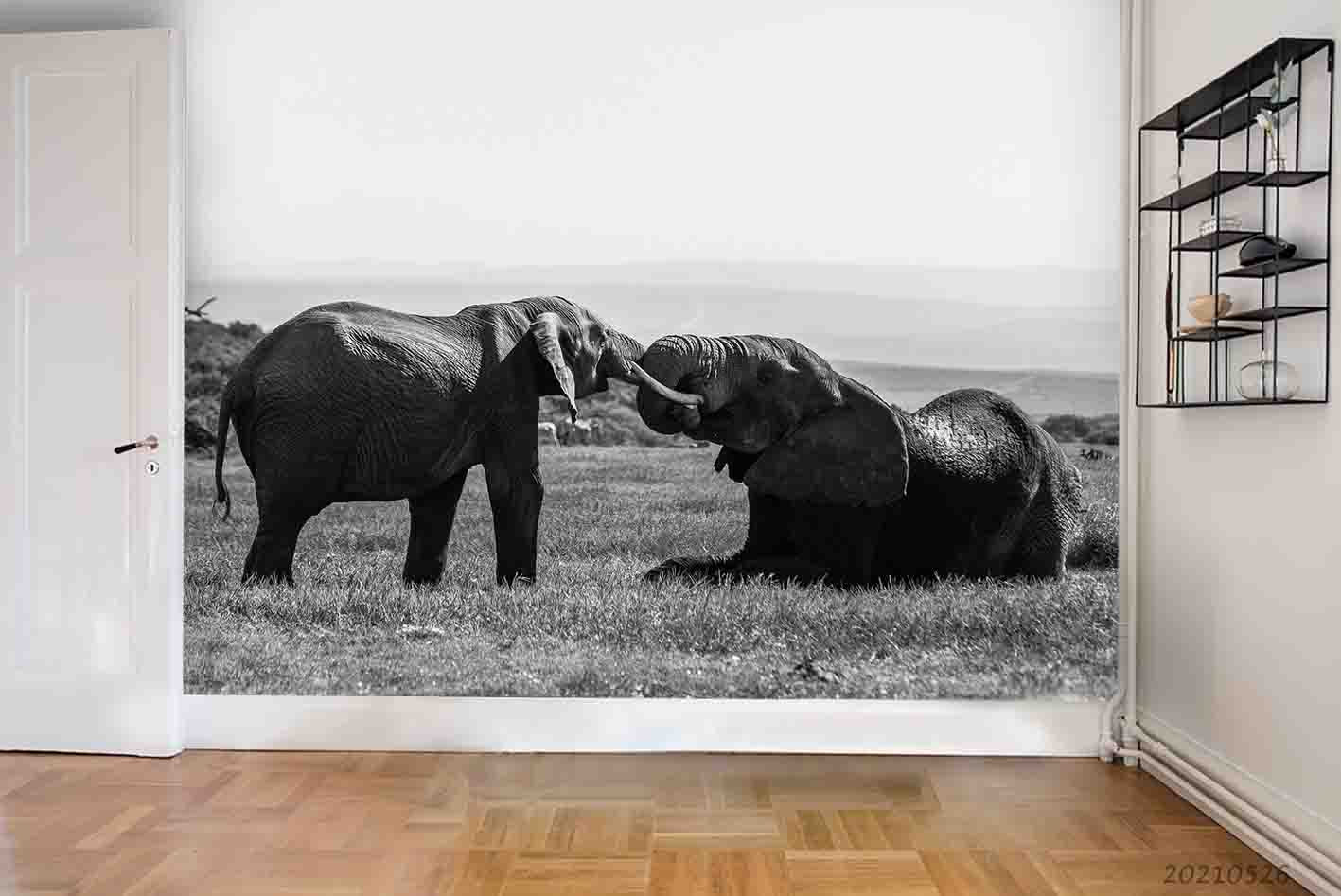 3D Grey Elephant Grassland  Wall Mural Wallpaper Sww409