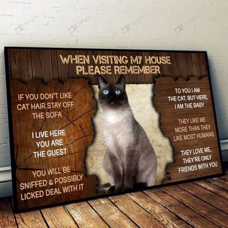 Siamese cat please remember when visiting our house Poster Canvas 5632203027