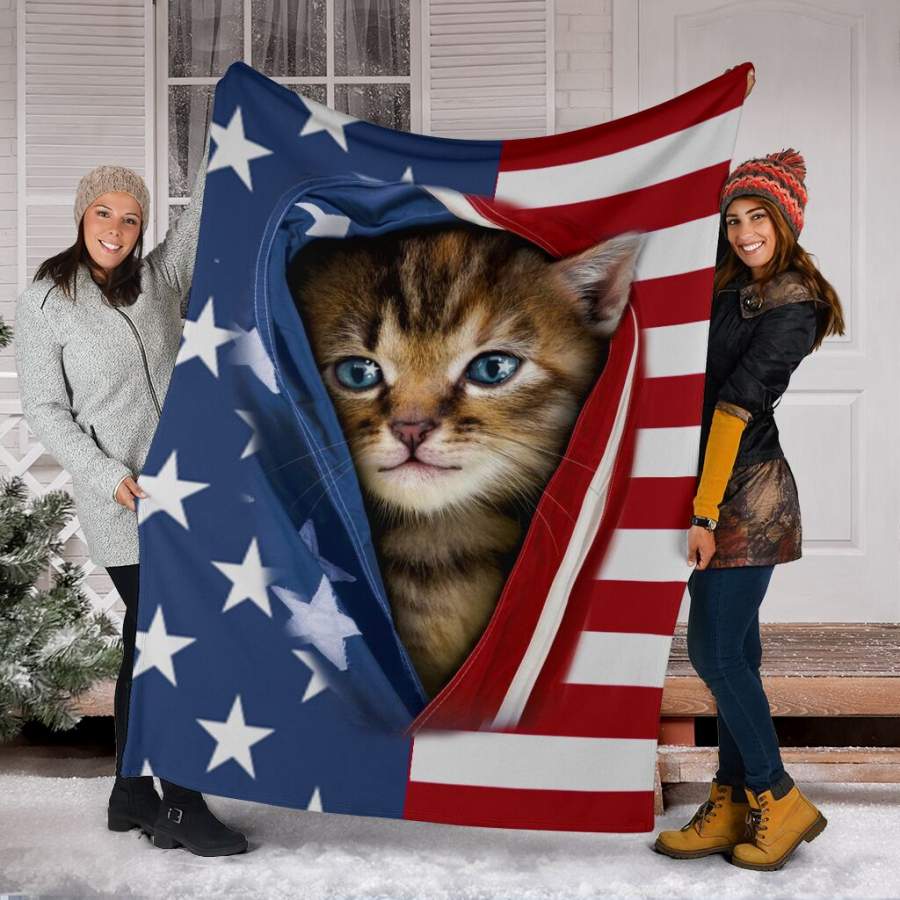 Kitten opened American flag Independence day blanket