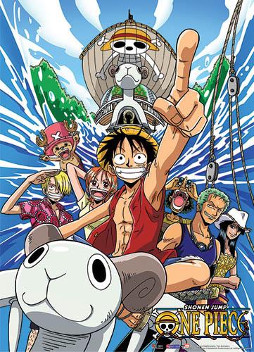 The Straw Hat Pirates Anime Poster Flag – MD – Home Decor Styles