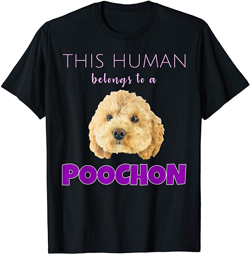 This Human belongs to a Poochon puppy dog owner gift T-Shirt